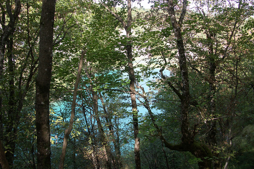 Obraz 014